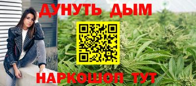 apvp Лесосибирск