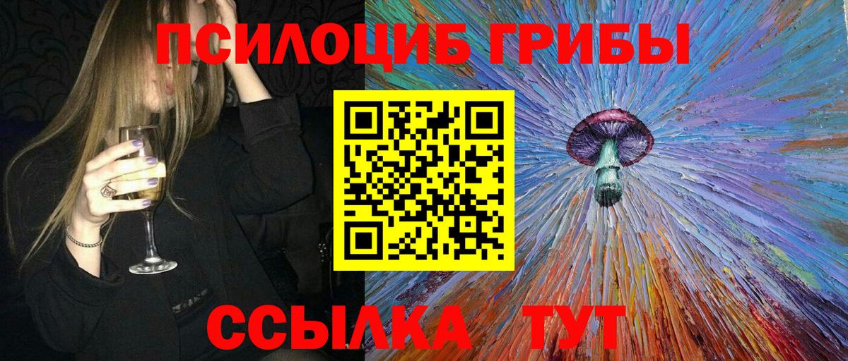 что такое   Вход с VPN  Егорьевск  Галлюциногенные грибы ЛСД 